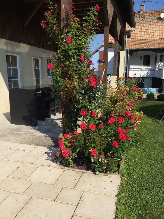 Alsace Maison 5P Piscine Europapark Rulantica Villa Marckolsheim Eksteriør billede